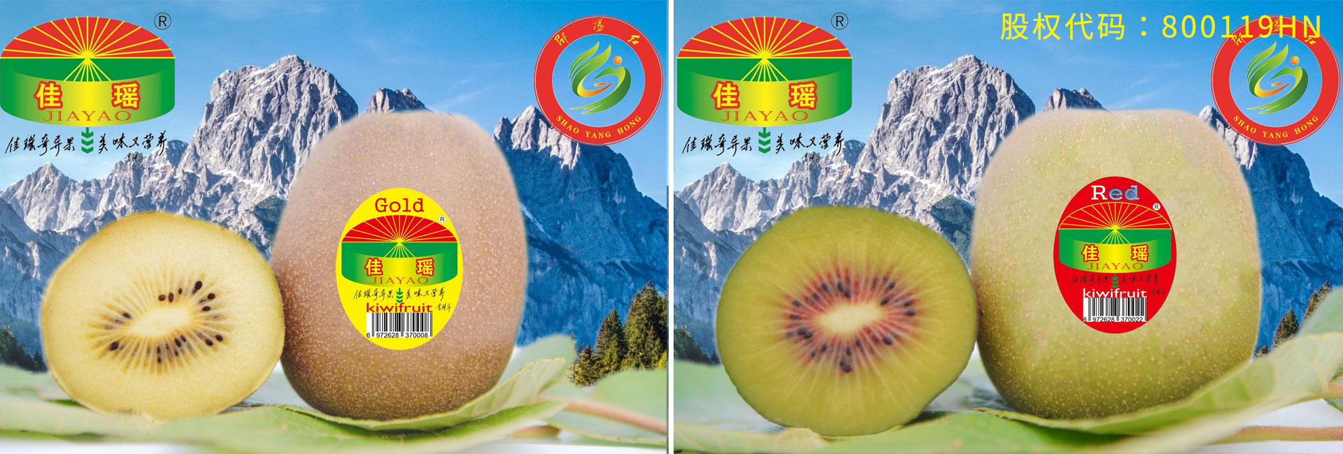 美味佳瑤